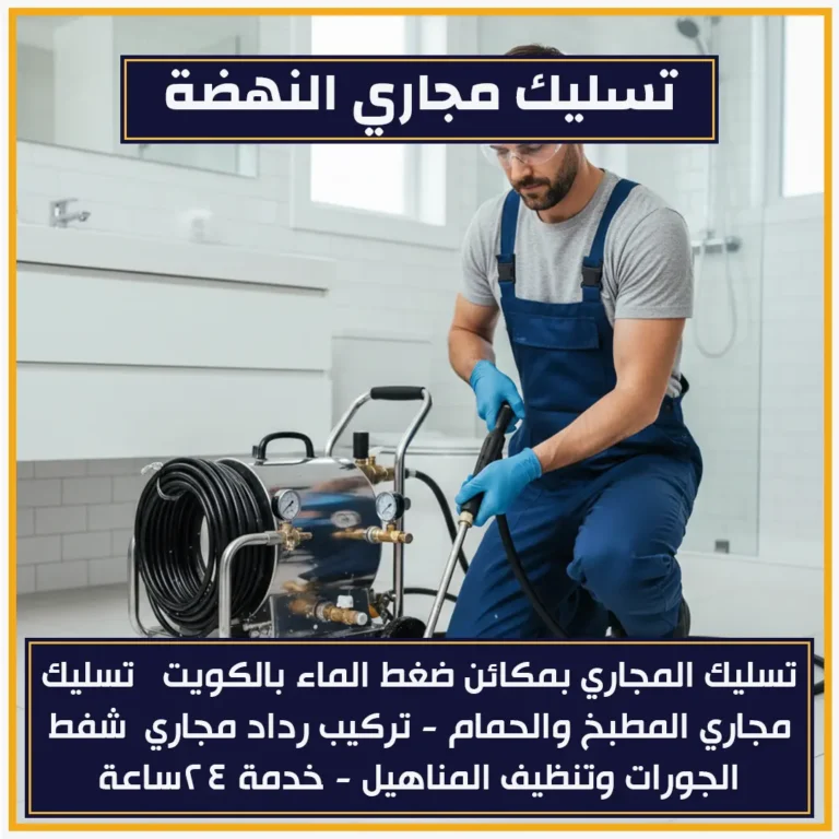 تسليك مجاري النهضة